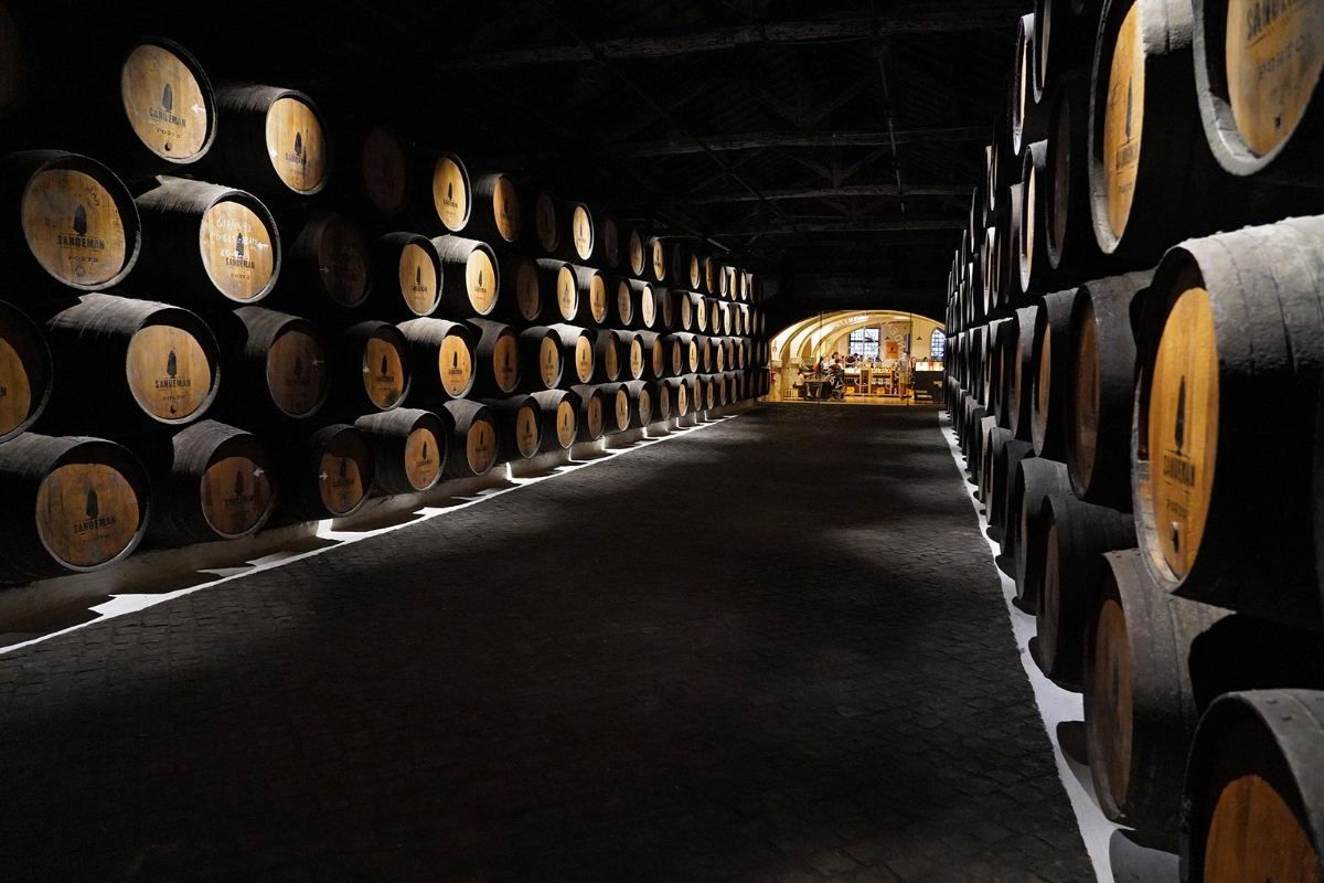 Rows of wine barrels in a dark cellar
